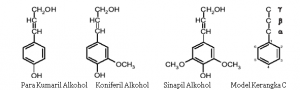 FENOLIK