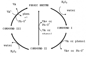 ferric