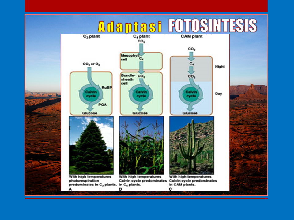 Slide19