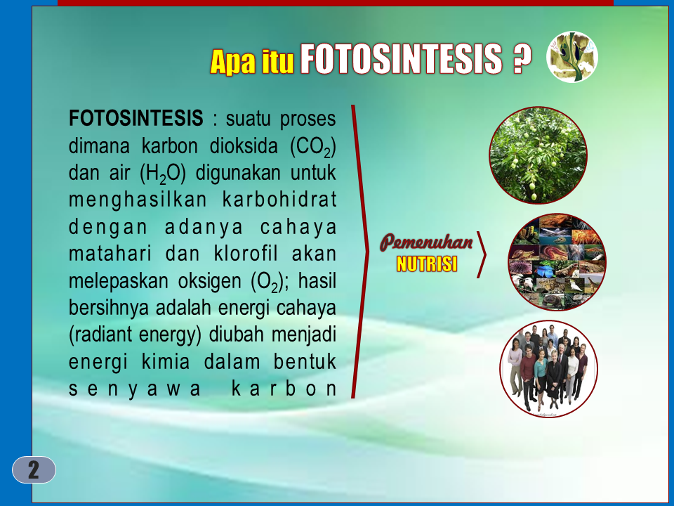 Slide2