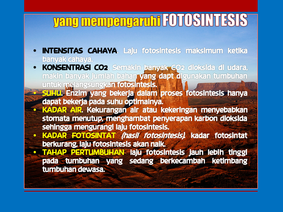 Slide20