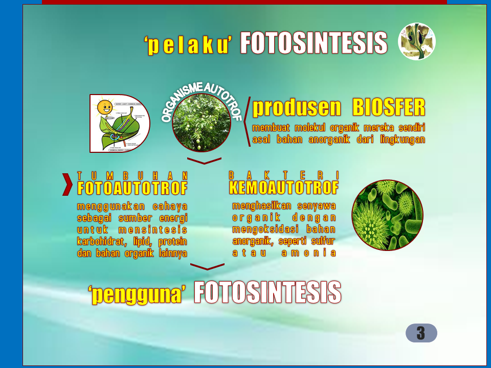 Slide3