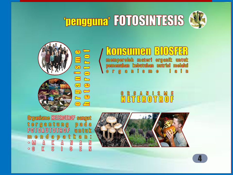 Slide4