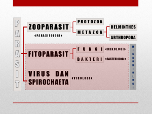 Slide11