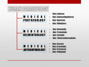 Slide12