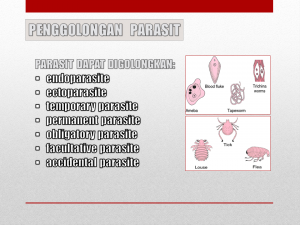 Slide13
