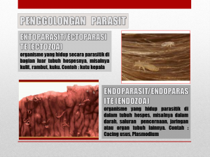 Slide14