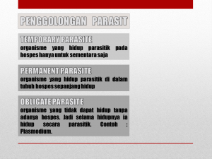 Slide15