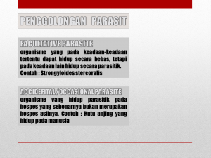 Slide16