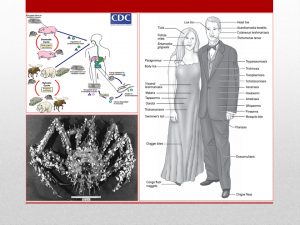 Slide2