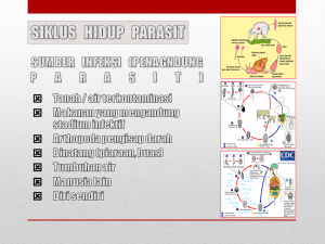 Slide20