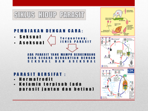 Slide23