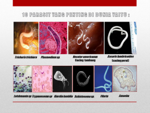 Slide24