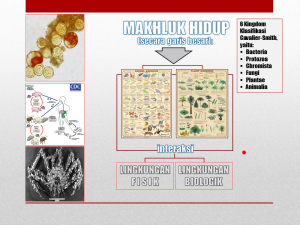 Slide3