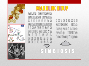 Slide4