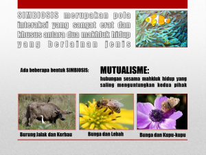 Slide5