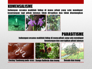 Slide6