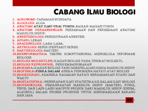 Slide11 
