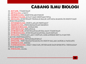 Slide12 