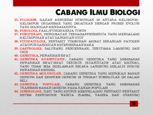 Slide13 