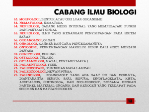 Slide15 