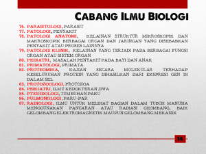 Slide16 