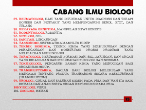Slide17 