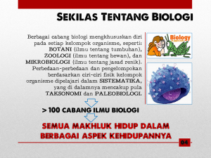 Slide5