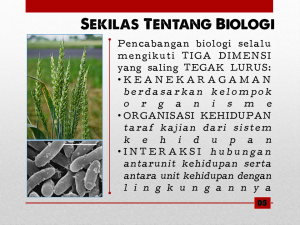 Slide6