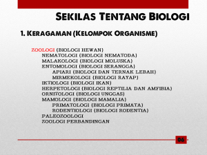 Slide8 