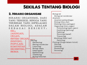 Slide9 